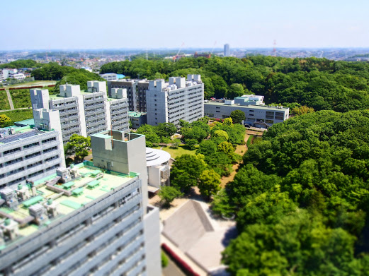 View from J3 tower